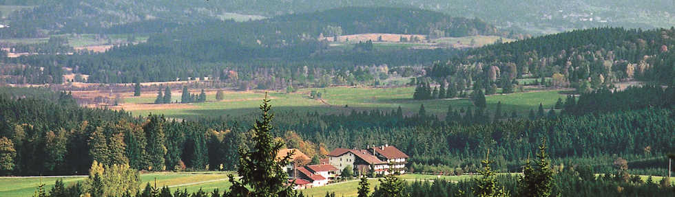Blick von Steinkopf in Haidmühle - Bischofsreut
